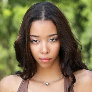 Lia Lin Pornstar